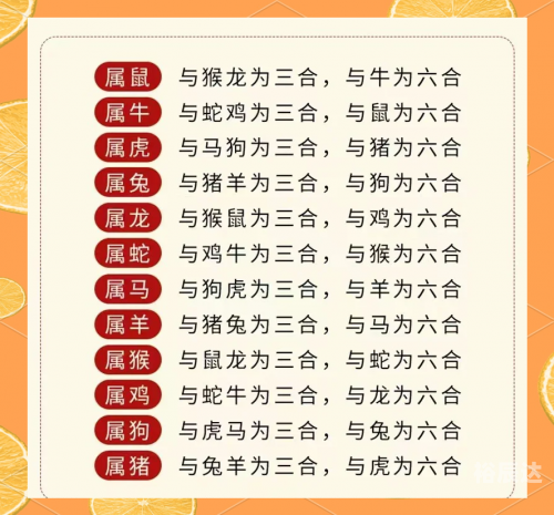 六合拳彩六合拳彩，传统武术的魅力与幸运-第3张图片