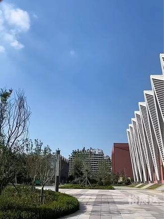河东下载，便捷高效的资源获取新体验