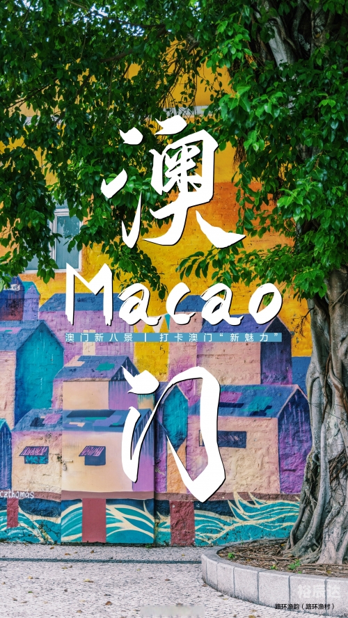 2024澳门免费精准资料，探索澳门旅游与文化的新篇章