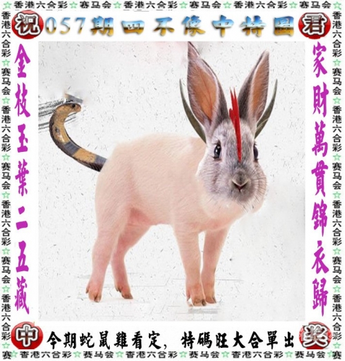 2023澳门今晚开奖结果揭晓-第2张图片
