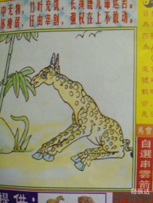 精准三肖三期内必中的内容,欲钱买傻里傻气的生肖精准三肖三期内必中的策略-第2张图片