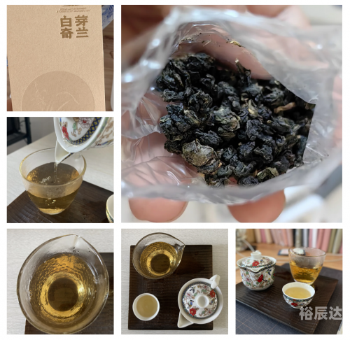 白芽奇兰茶的功效与作用白芽奇兰，兰花中的珍品