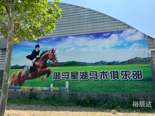 马匹买卖网，便捷交易新选择-第1张图片