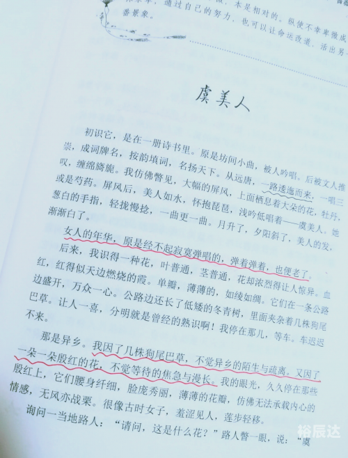 彩字网，文字的魅力与无限可能-第1张图片