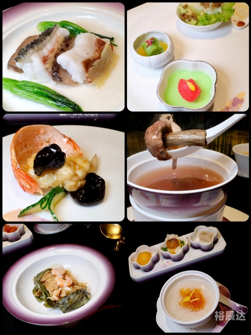 澳门2023全年资料免费看澳门2023全年资料免费看