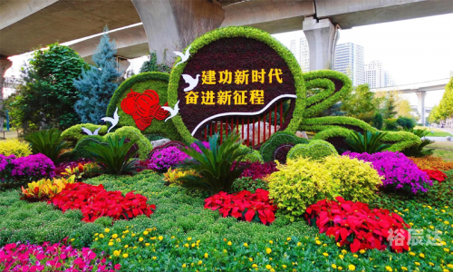 团800郑州团800郑州，城市发展新篇章-第3张图片