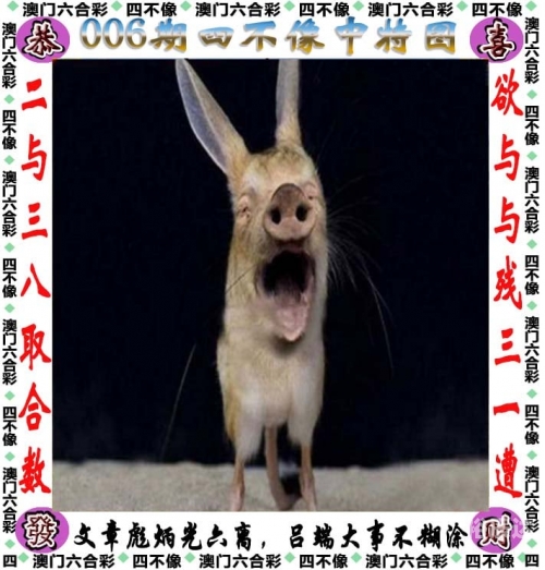 二四六天天好彩玄机资料二四六天天好彩玄机