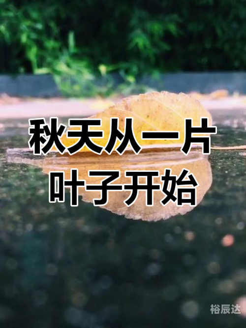 一叶知秋吉他谱于哲浩一叶知秋吉他谱-第1张图片