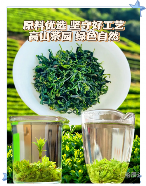 一叶知秋吉他谱于哲浩一叶知秋吉他谱-第2张图片