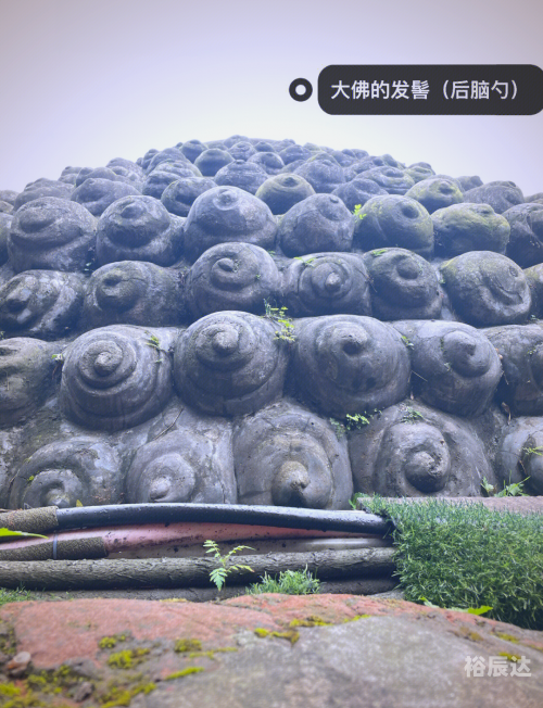 乐山大佛离成都多远乐山大佛离成都多远-第3张图片