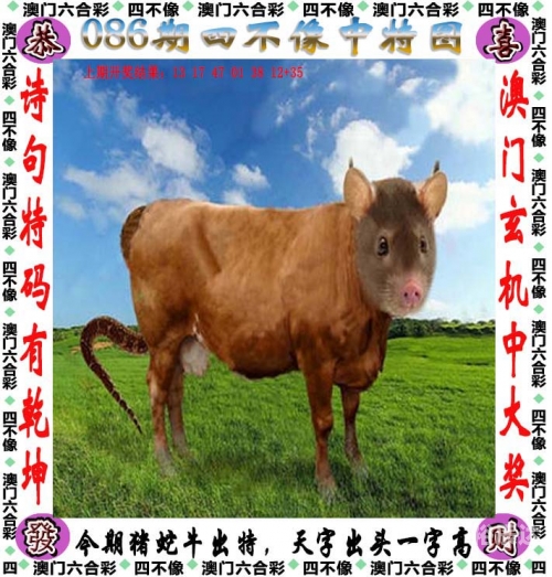 澳门新彩新澳精准资料免费提供彩吧助手