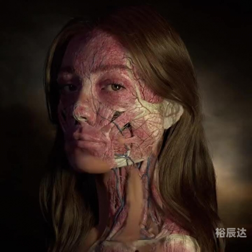 今天大佬不再做人类-第2张图片