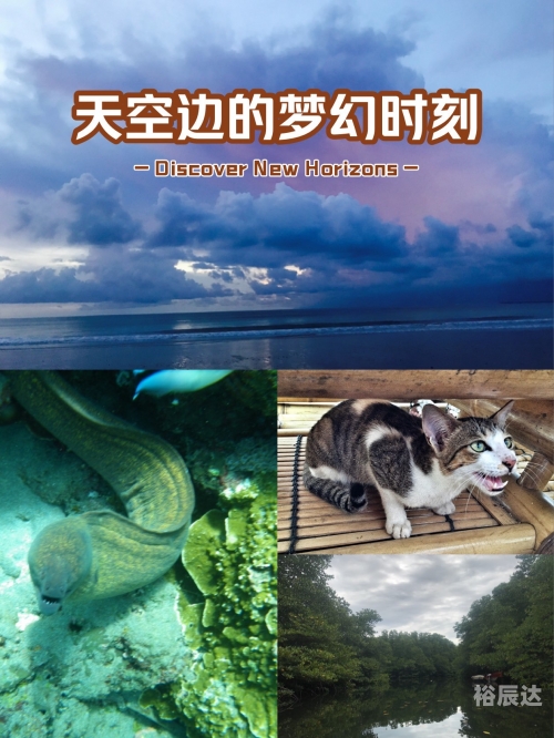 彩天堂彩天堂，梦幻之境