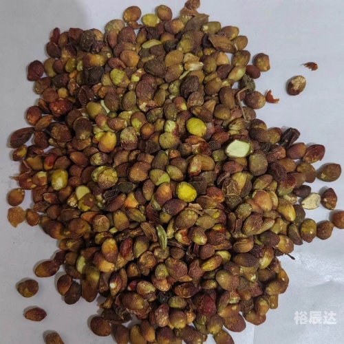 小草乌的魅力