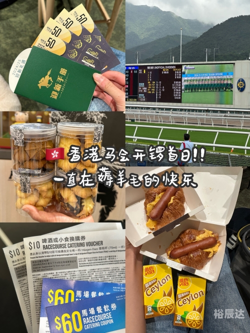 香港马会内部免费资料香港马会内部免费资料，探索内部资源的无限可能-第2张图片