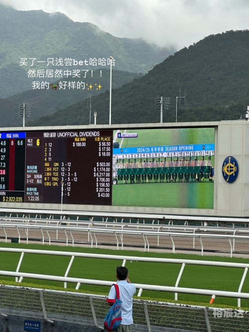 香港马会内部免费资料香港马会内部免费资料，探索内部资源的无限可能-第1张图片
