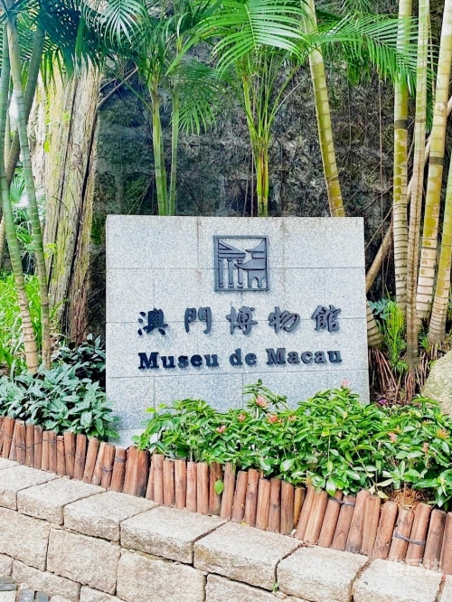 澳门今晚精准一码，探索数字时代的魅力