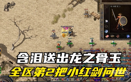 新龙之传奇新龙之传奇-第1张图片