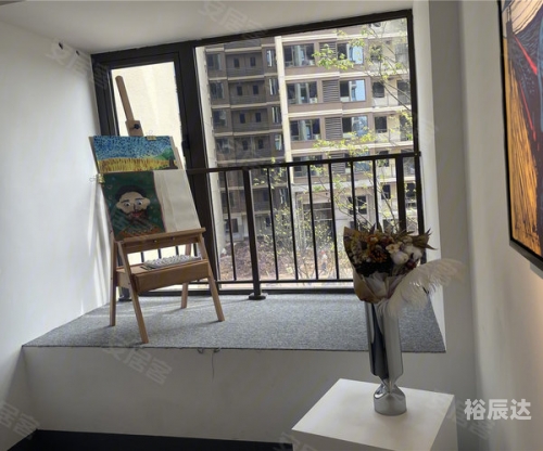 九龙内幕报，揭秘城市角落的秘密