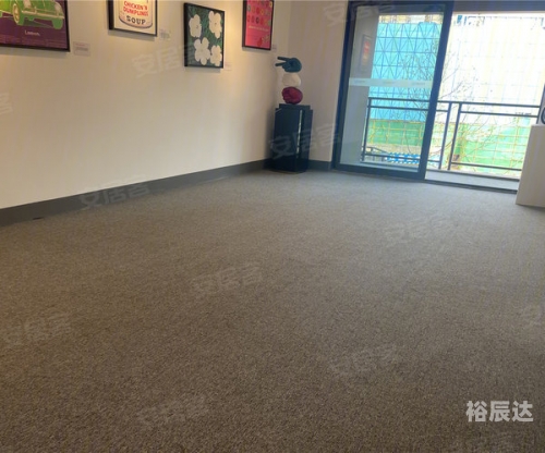 九龙内幕报，揭秘城市角落的秘密-第2张图片