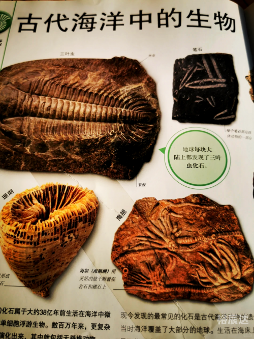 蓝石头蓝石头之美