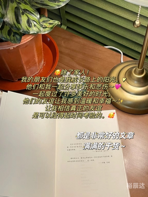 冰恋聊天室，心灵交汇的温暖港湾-第2张图片