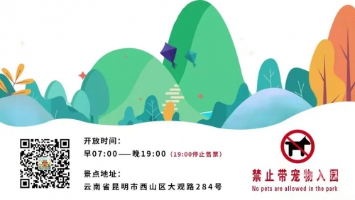 2022全年免费资料大观