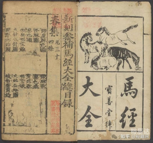 258马经图库大全集114马经258图库，探索古代马匹知识与图谱的宝库-第2张图片