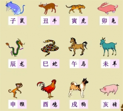 2013年生肖对照表