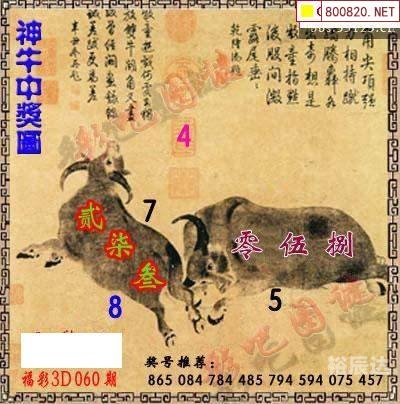 福彩3d白天鹅图库福彩3d白天鹅图库，探索神秘彩票世界