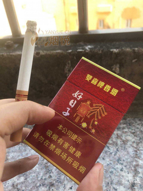 好日子心水论坛，寻找生活中的美好时刻