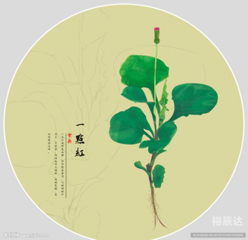 一点红心水高手论坛规律一点一点红心水论坛，探索交流与成长的平台-第2张图片