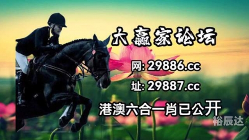 今晚已开特马 开奖结果今晚已开特马，开奖结果揭晓-第2张图片