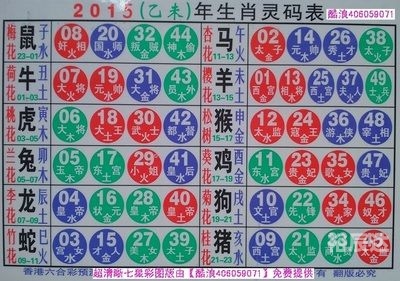 2019生肖号码表详解