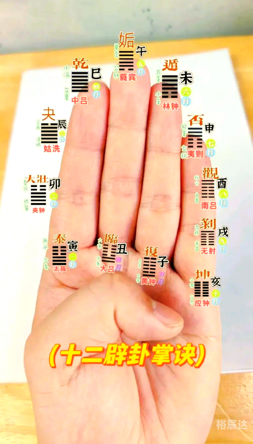 最准一肖一.100%准胆小如鼠最准一肖一，100%准的神秘预测-第1张图片