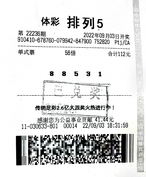 彩票中奖，梦想成真的时刻-第3张图片