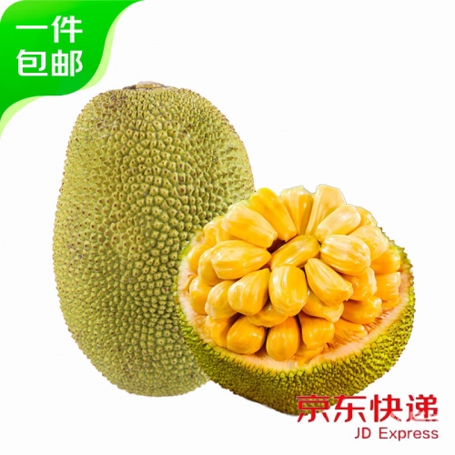 菠萝蜜官网12菠萝蜜官网，探索健康与美味的完美结合