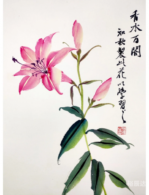 百合心水图库，探寻艺术之美-第1张图片