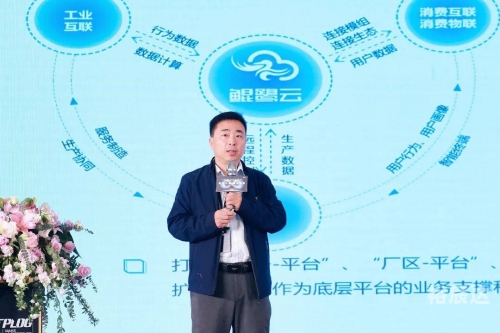 探索65522.com，数字时代的探索之旅-第2张图片