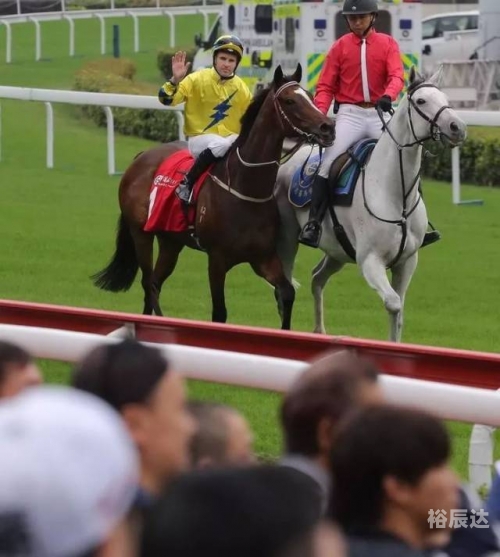 香港马 会开奖结果新闻香港马会现场开奖体验