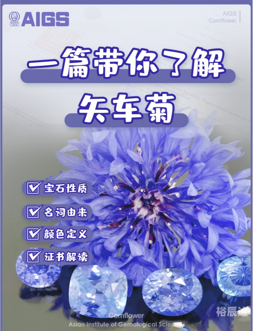 宝石论坛宝石论坛，探索宝石世界的瑰宝-第3张图片