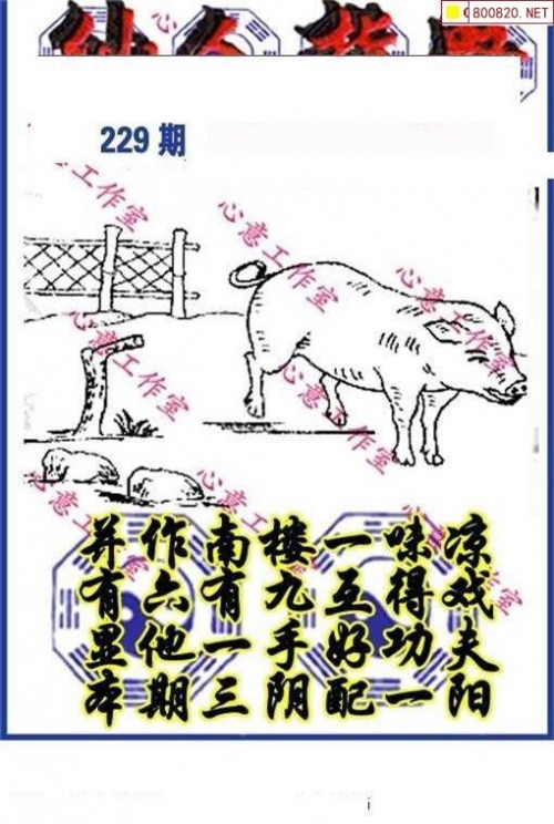 49图库图片+资料13262 CC马会论坛，探讨赛事与交流的平台-第2张图片