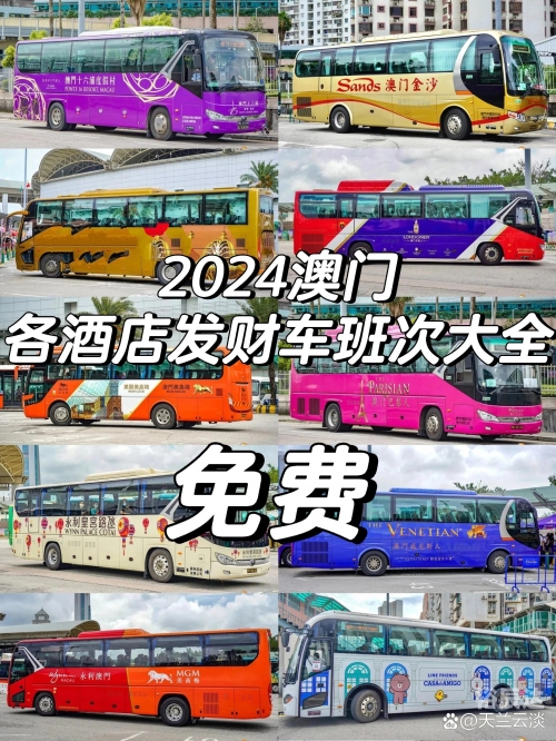 2024澳门资料大全正版资料-第2张图片