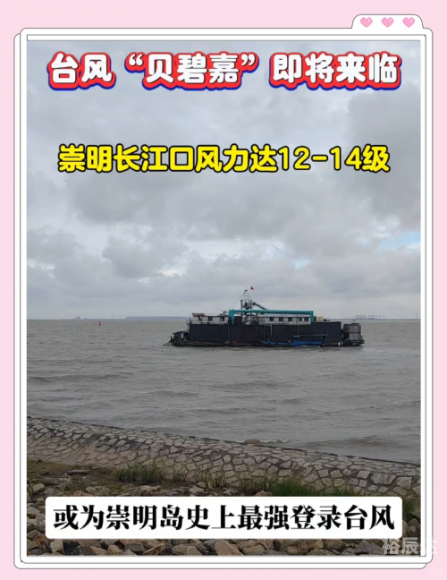 上海台风2024贝碧嘉上海遭遇台风，风雨中的城市之旅-第3张图片