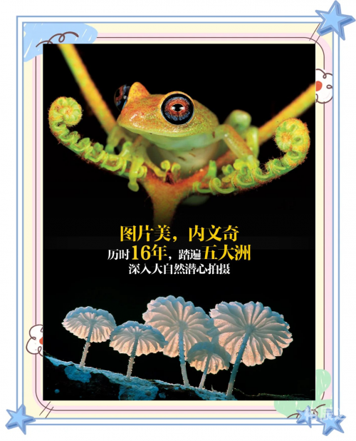 118彩色厍图库彩图，探索视觉盛宴-第2张图片