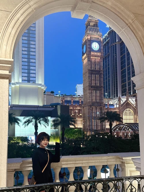 打开澳门网站免费资料，探索澳门旅游与文化的无尽宝库-第1张图片