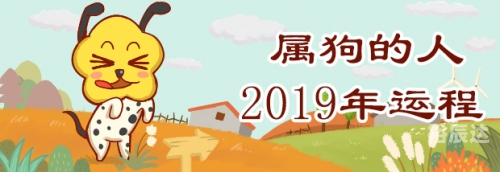 2019全年开码结果记录