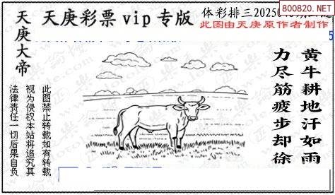 天齐网首页正版保真天齐网首页，探索天齐科技的前沿-第1张图片