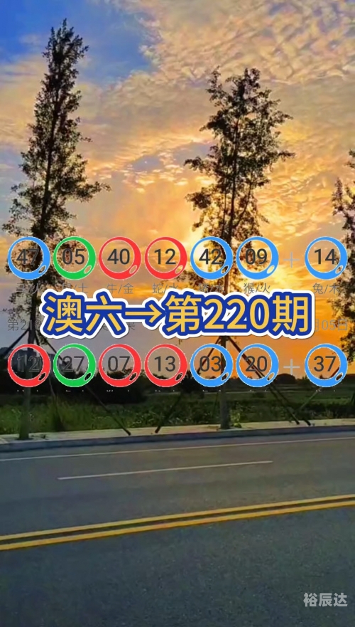 2025澳门今晚开奖号码澳门图库49码开奖结果揭晓-第3张图片