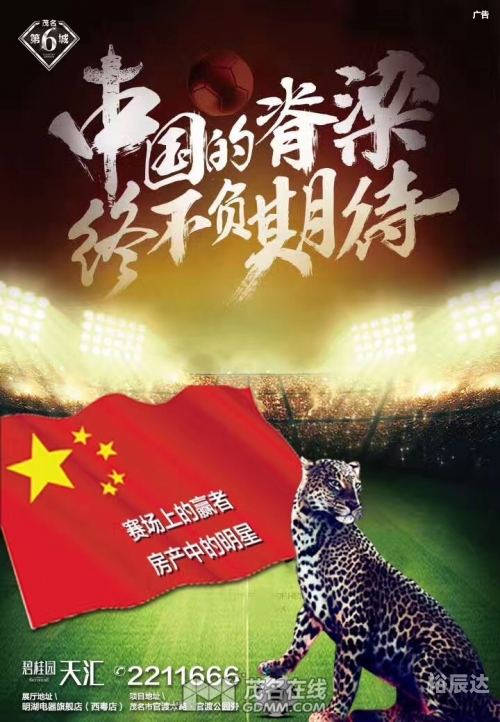 中华论坛手机版中华论坛网热帖，探讨中华文化的传承与发展